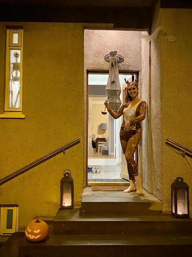 Casa Disa - Dreams, A Boutique Guesthouse In Reykjavik City'S Central Park And Botanical Garden In Laugardalur, Hot-Spring-Valley Exterior foto