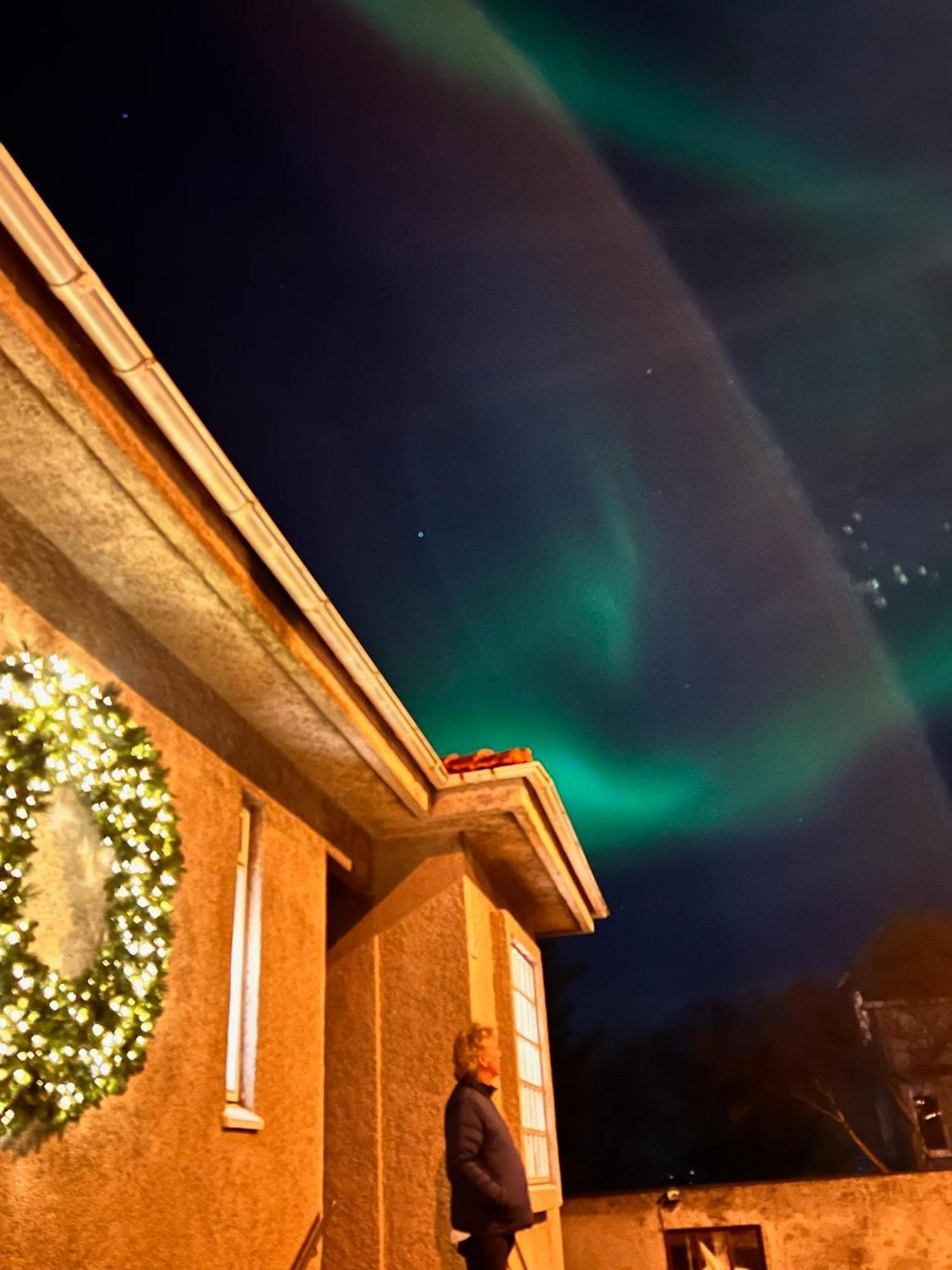 Casa Disa - Dreams, A Boutique Guesthouse In Reykjavik City'S Central Park And Botanical Garden In Laugardalur, Hot-Spring-Valley Exterior foto